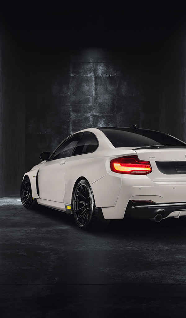 Белый BMW ICON03, 2019 года вид сзади