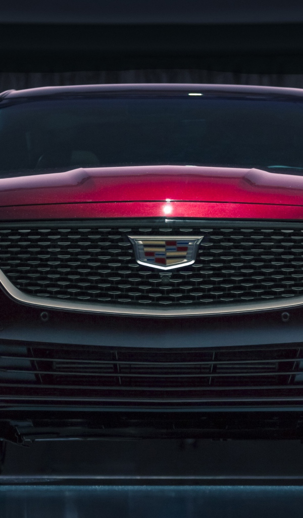 Автомобиль Cadillac CT5, 2020 года вид спереди