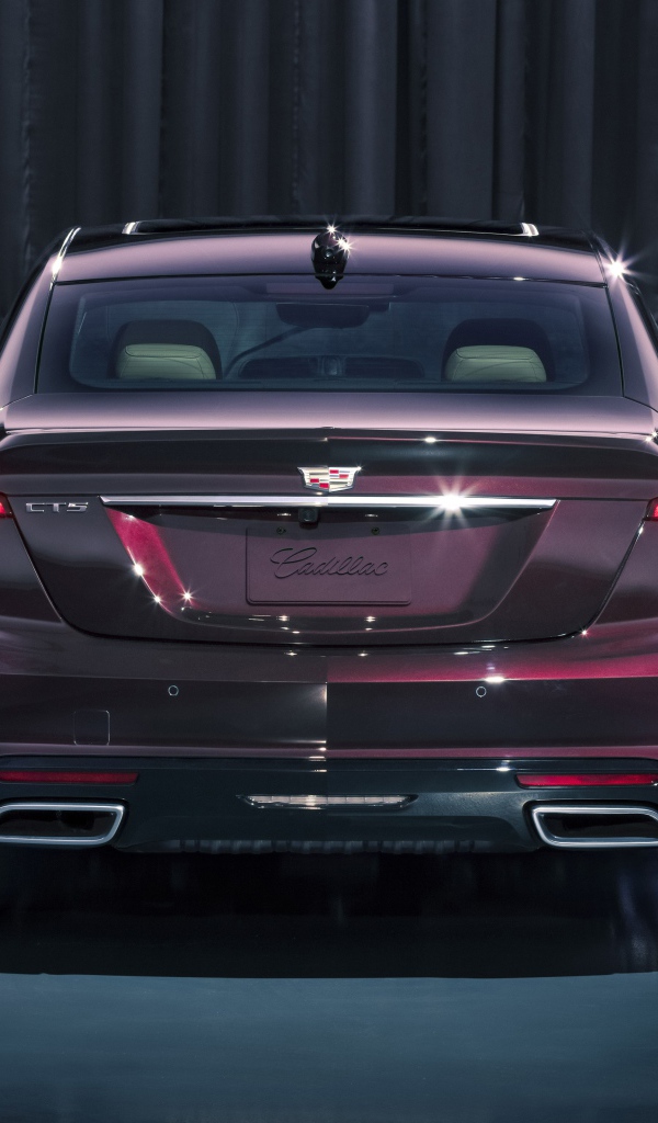 Автомобиль Cadillac CT5, 2020 года вид сзади 