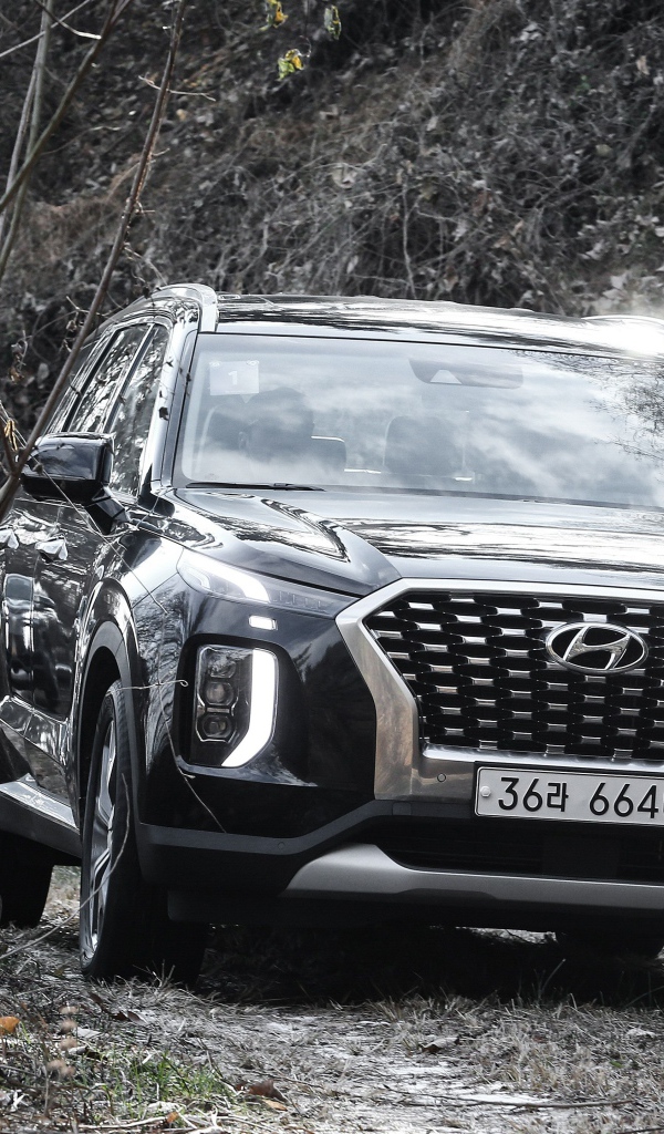 Черный внедорожник Hyundai Palisade 2019 года в зарослях 