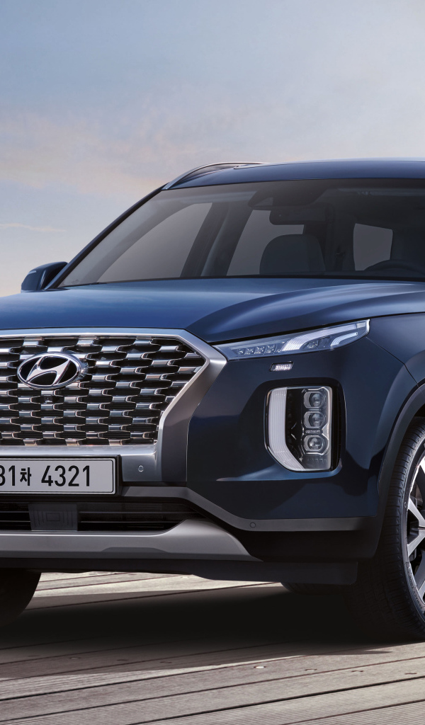 Синий автомобиль Hyundai Palisade 2020 года на мосту