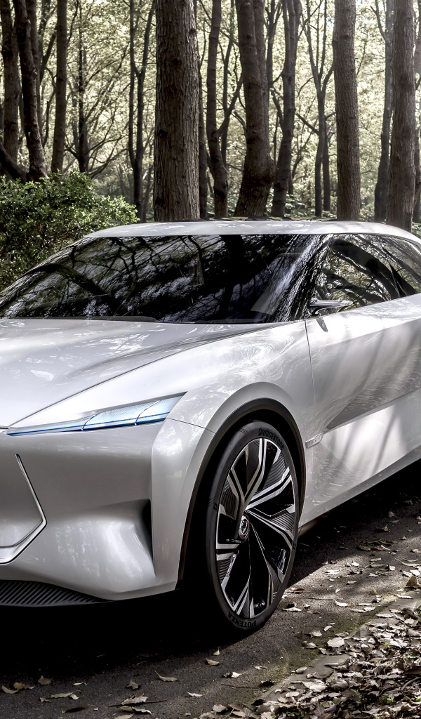 Серебристый автомобиль Infiniti Qs Inspiration 2019 года в лесу