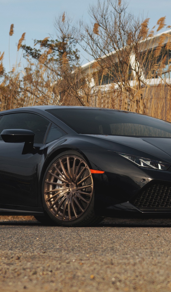Черный автомобиль Lamborghini Huracan на фоне камыша