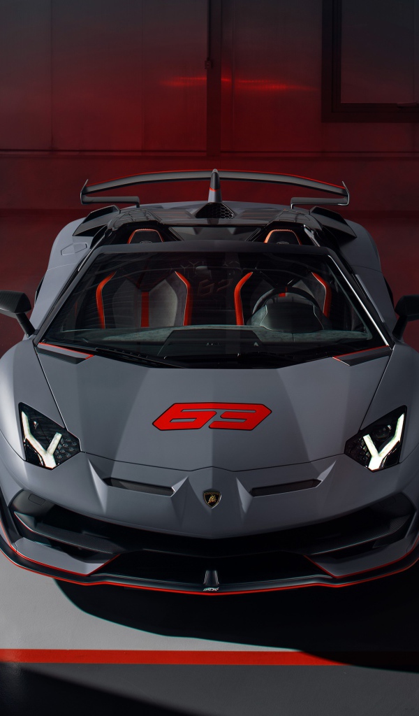 Серый автомобиль Lamborghini Aventador SVJ 63 Roadster 2020 года