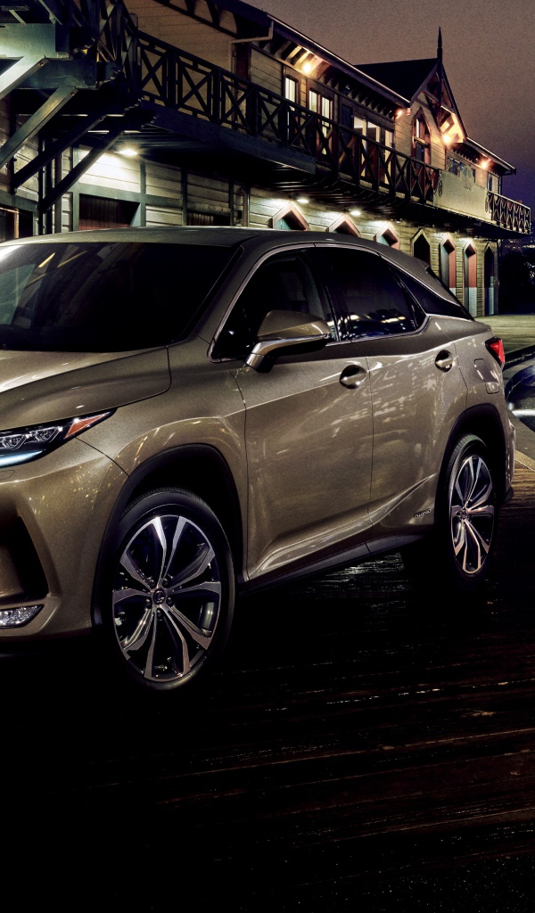 Автомобиль Lexus RX 450h 2019 года у воды