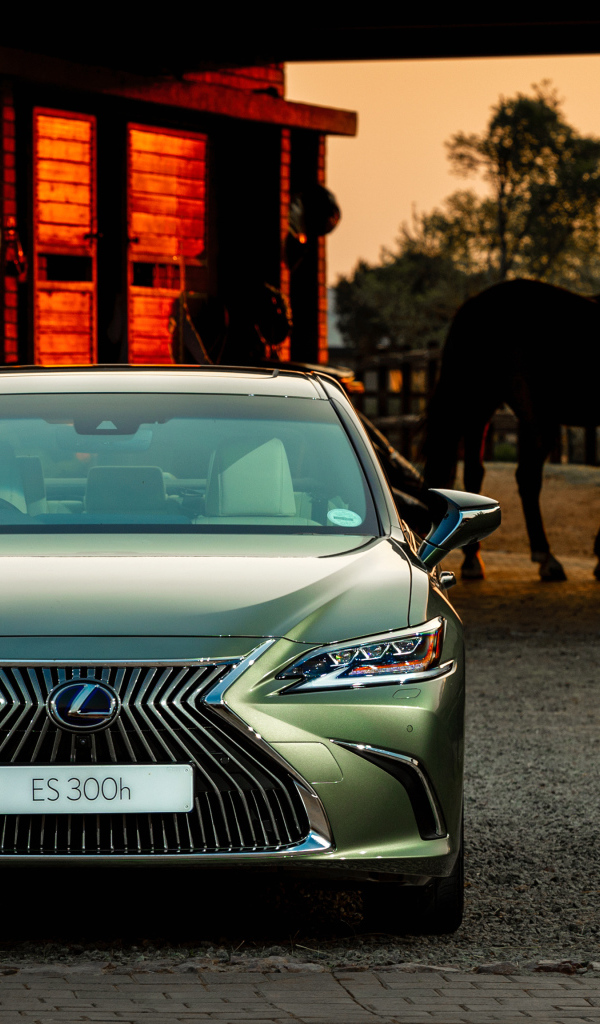 Автомобиль Lexus ES 300h 2018 года