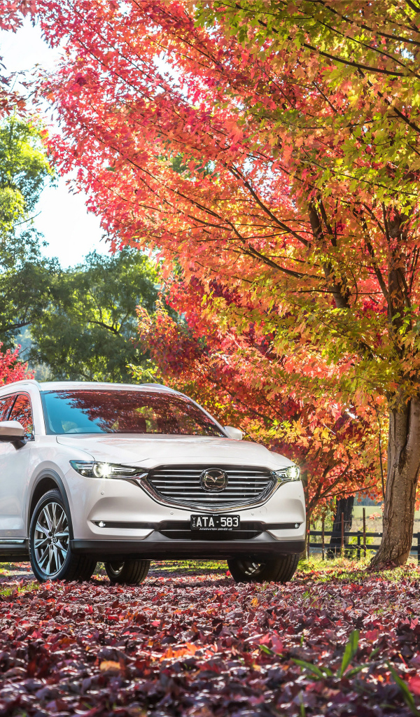Белый автомобиль Мазда в осеннем парке