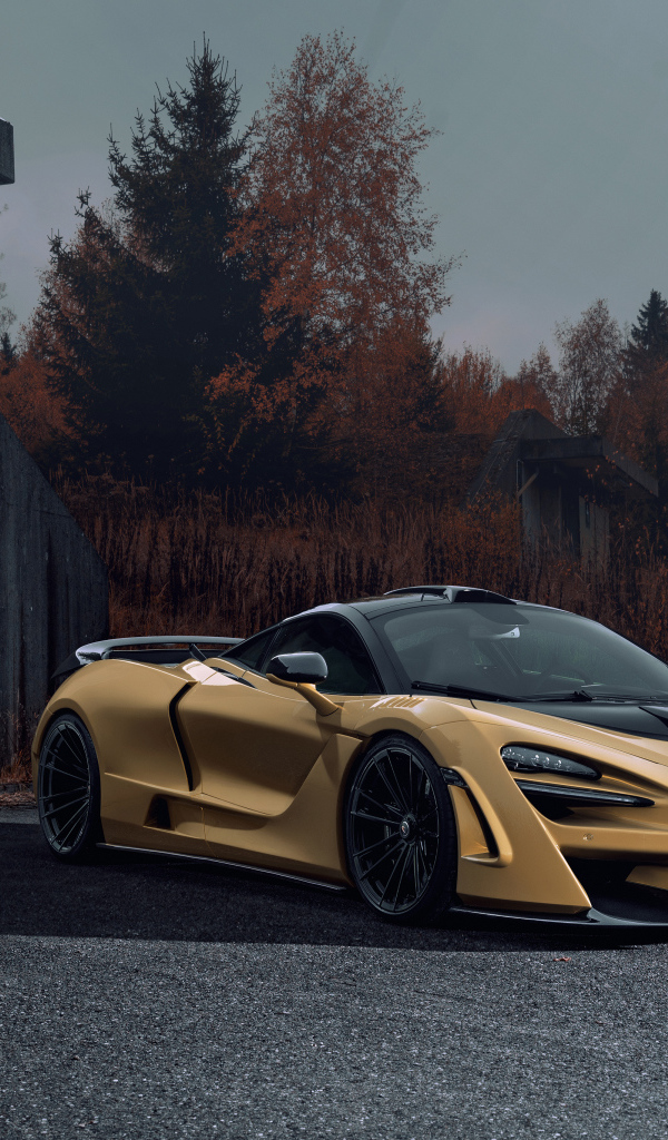 Дорогой автомобиль McLaren 720S у железных ворот