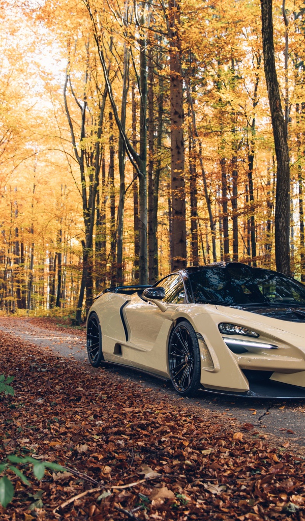 Быстрый автомобиль McLaren 720S в лесу