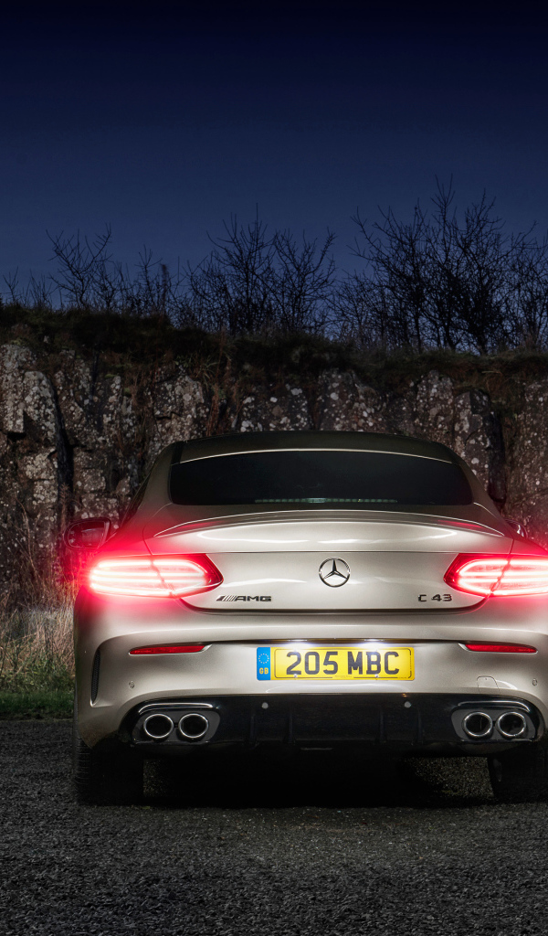 Автомобиль Mercedes-AMG C 43, 2019  года вид сзади