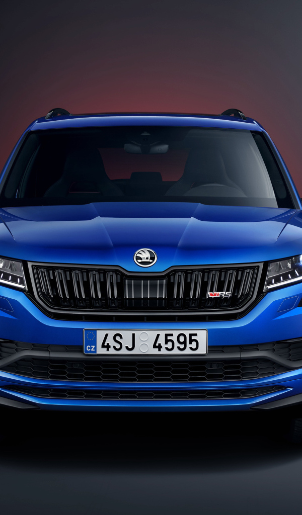 Синий автомобиль Skoda Kodiaq RS 2019 года вид спереди