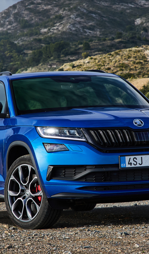 Синий автомобиль Skoda Kodiaq RS 2019 года в горах 