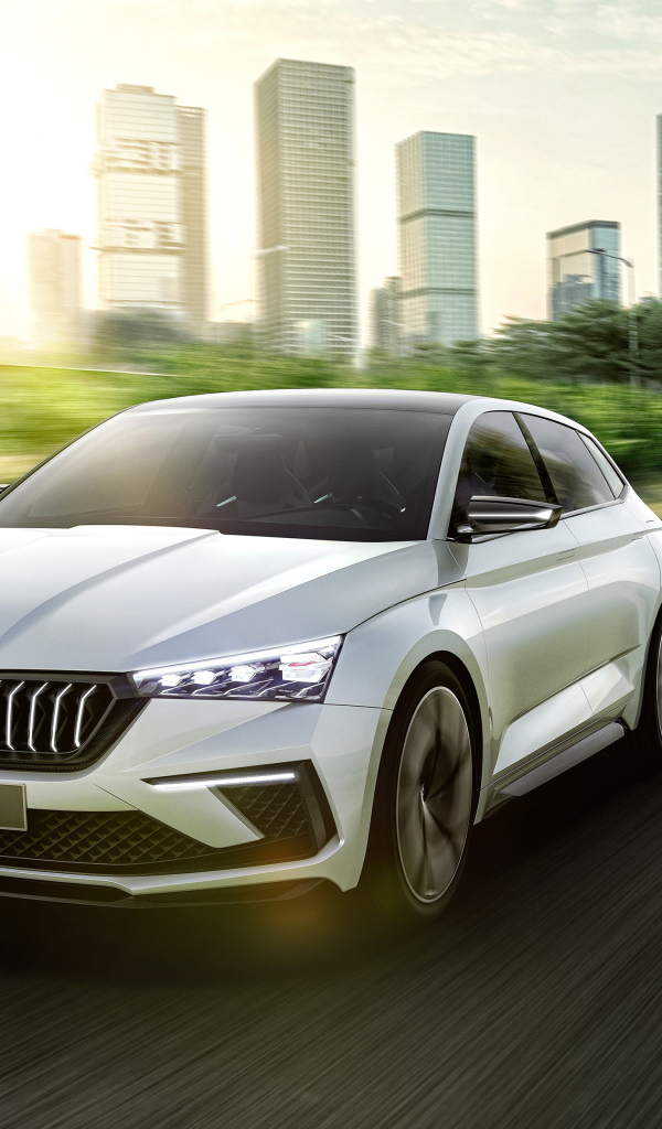 Автомобиль Skoda Vision RS 2018 года на трассе 