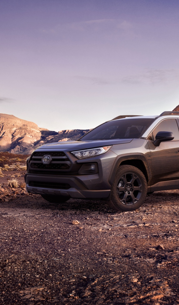 Внедорожник Toyota RAV4 в горах 