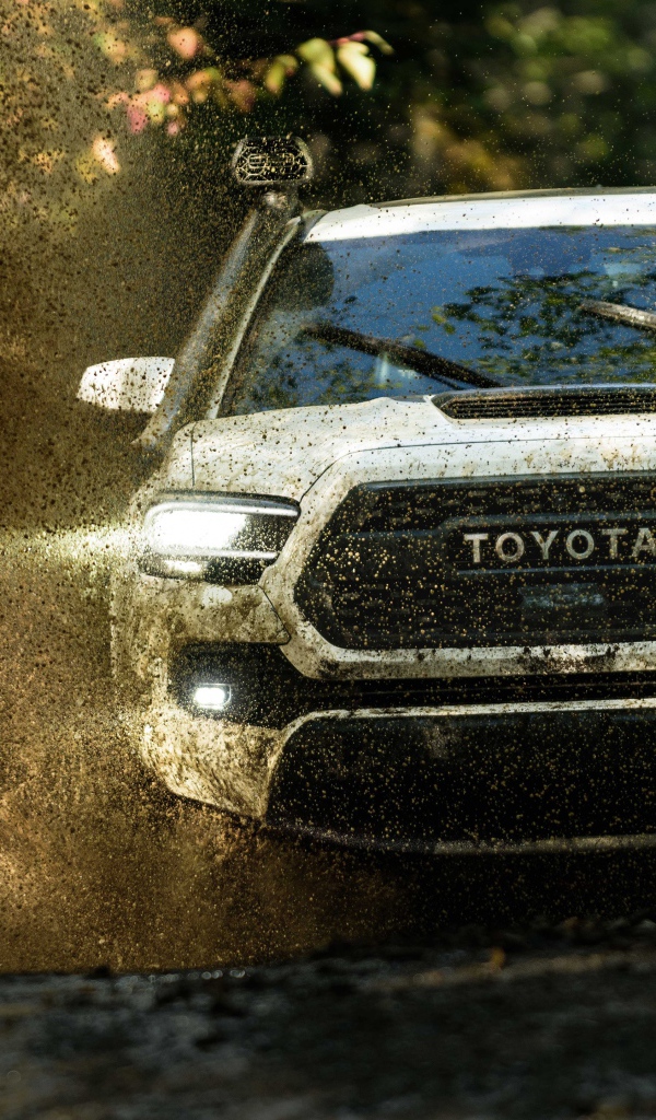 Внедорожник Toyota Tacoma, 2020 года едет по грязной воде