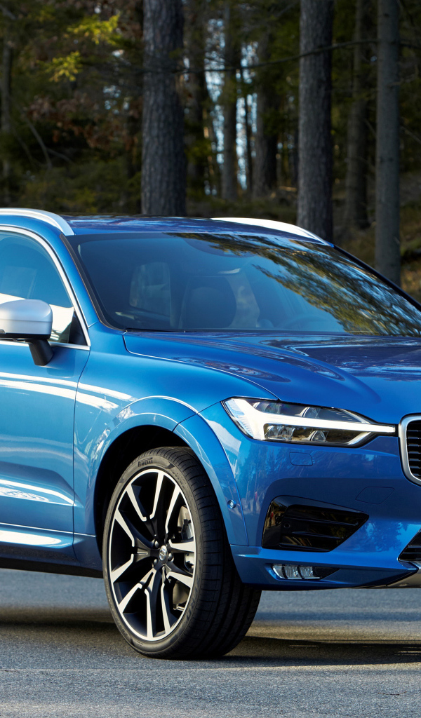 Синий автомобиль Volvo V60 на фоне леса 