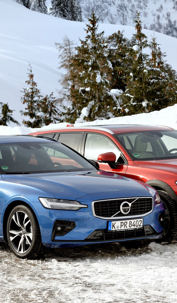 Два автомобиля Volvo V60 на фоне заснеженного леса