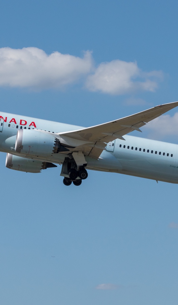 A large passenger aircraft Boeing 787-9 airline Air Canada in the sky