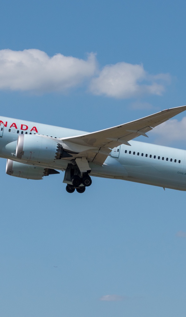 Большой пассажирский самолет Boeing 787-9 авиакомпании Air Canada в небе