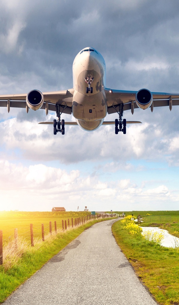Пассажирский самолет взлетает над полем 