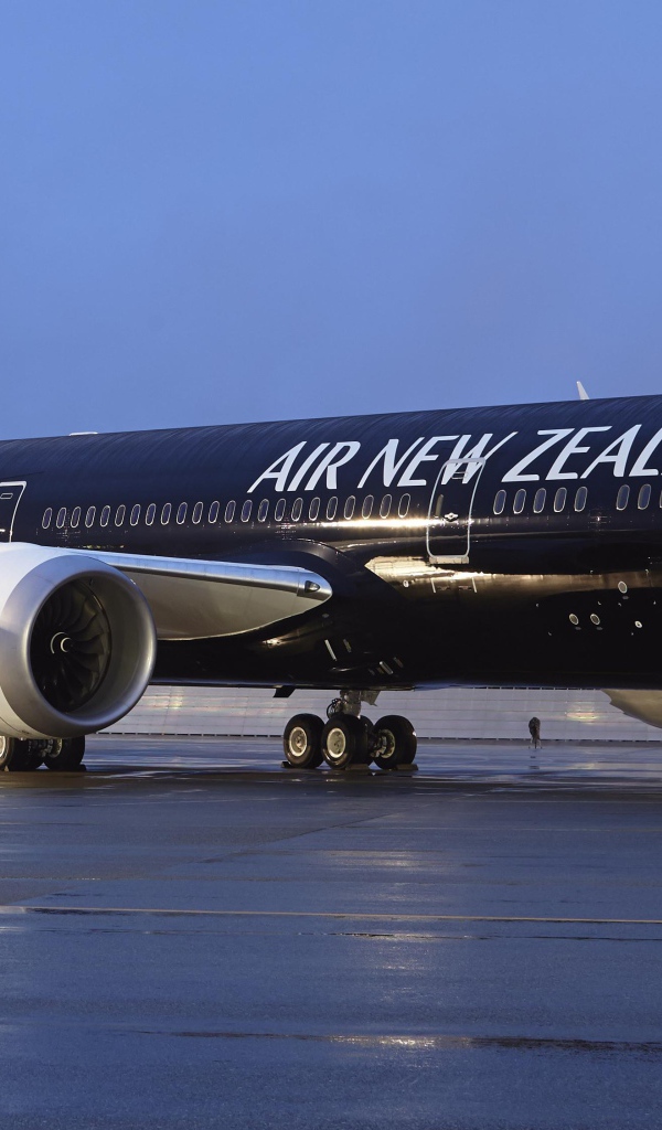 Самолет авиакомпании Air New Zealand в аэропорту