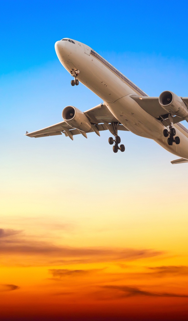 Самолет в небе над телебашней