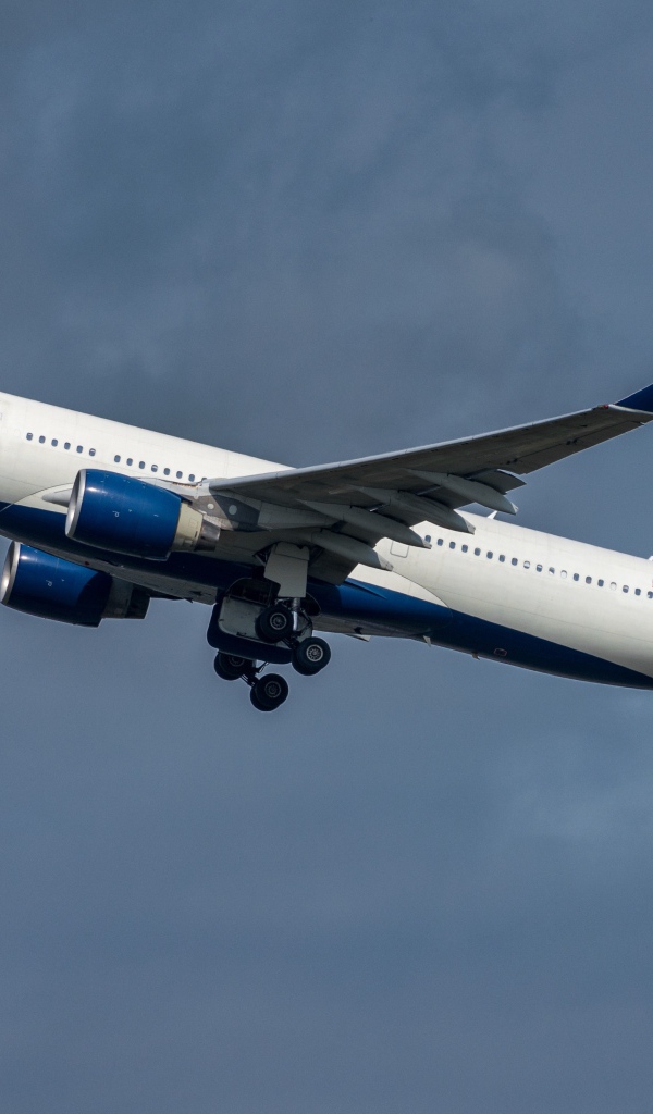 Большой пассажирский Airbus авиакомпании  Delta Air Lines