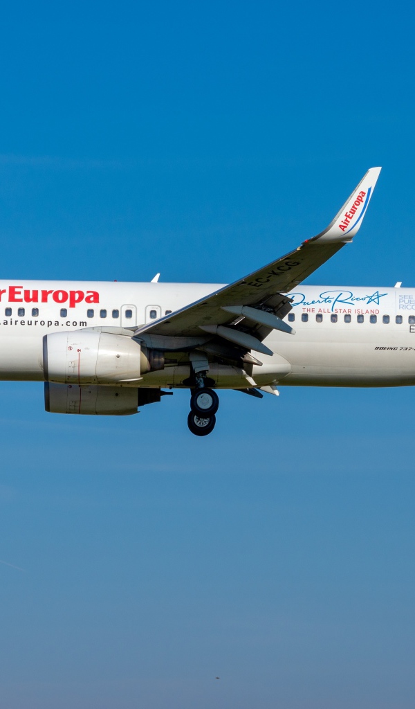 Большой пассажирский Boeing 737-800W авиакомпании Air Europa в голубом небе