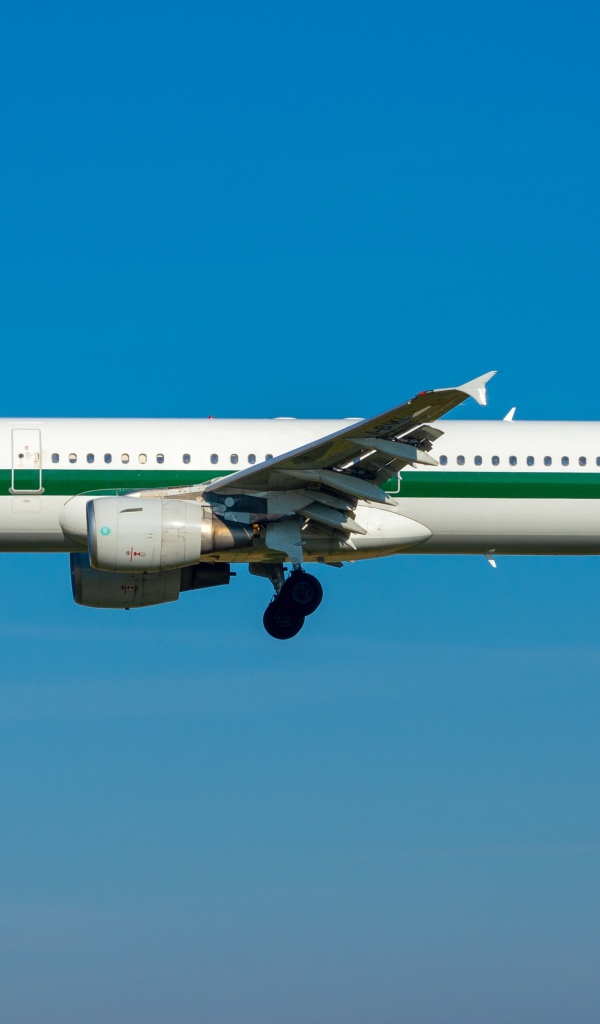 Пассажирский Airbus A321-100 в голубом небе 