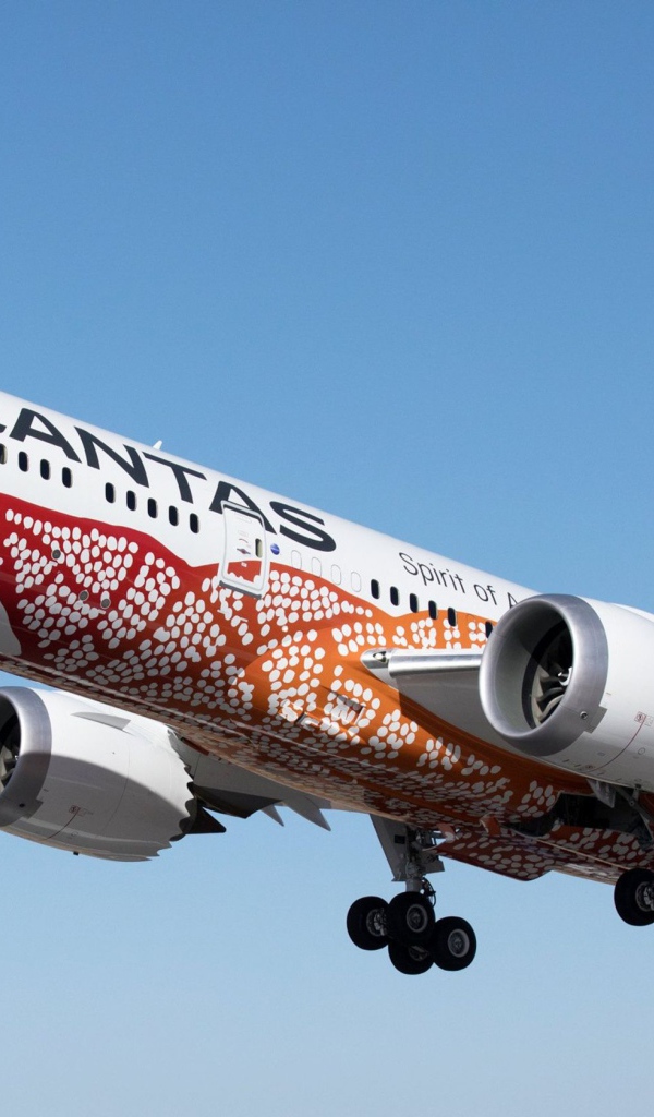 Qantas Airplane in the sky