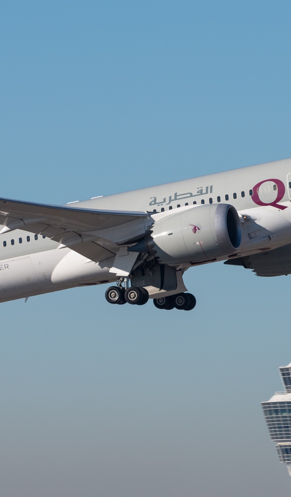 Аэробус авиакомпании Qatar летит в небе