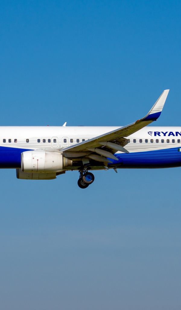 Пассажирский Boeing 737-800W авиакомпании  Ryanair в небе