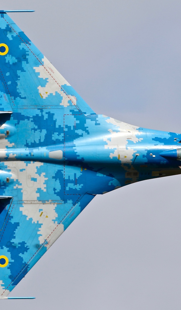 Реактивный Истребитель  Су-27 сухой