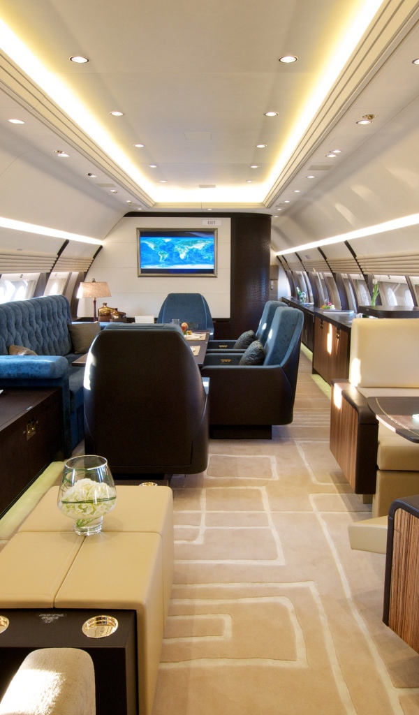 Салон самолета вип класса 