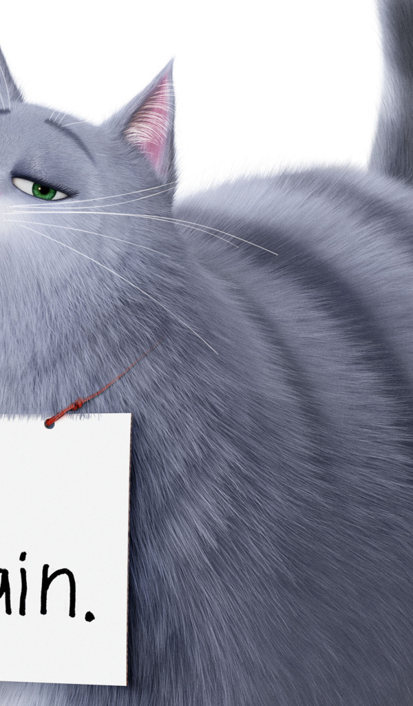 Chloe the Cat from the Secret Life of Pets 2 on a white background