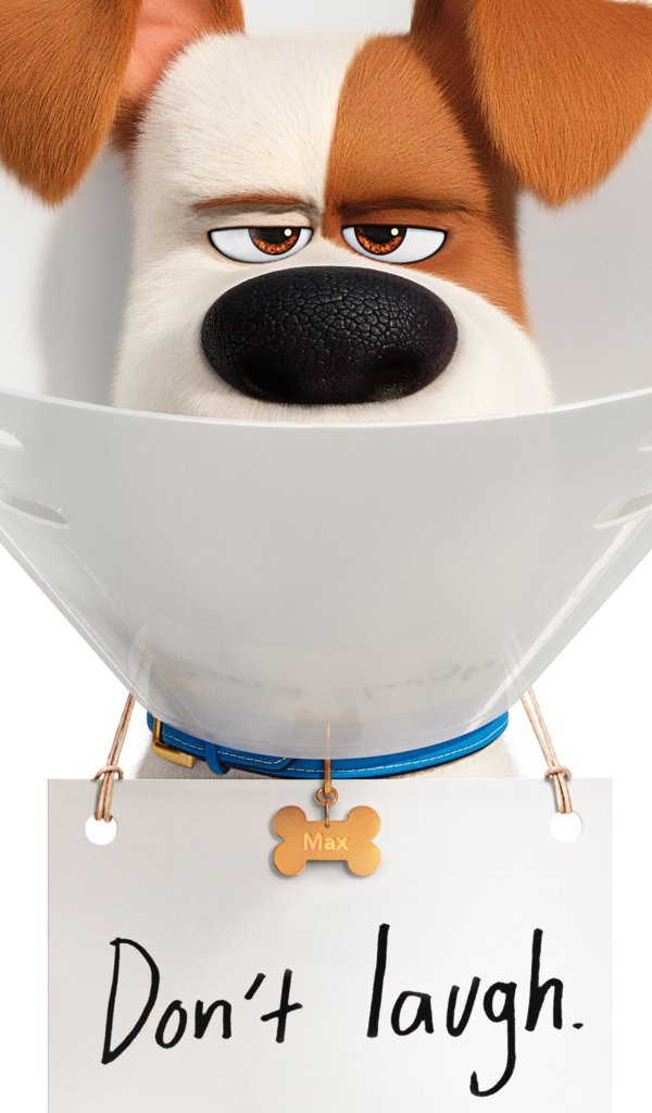 Джек-рассел-терьер Макс из мультфильма Тайная жизнь домашних животных 2