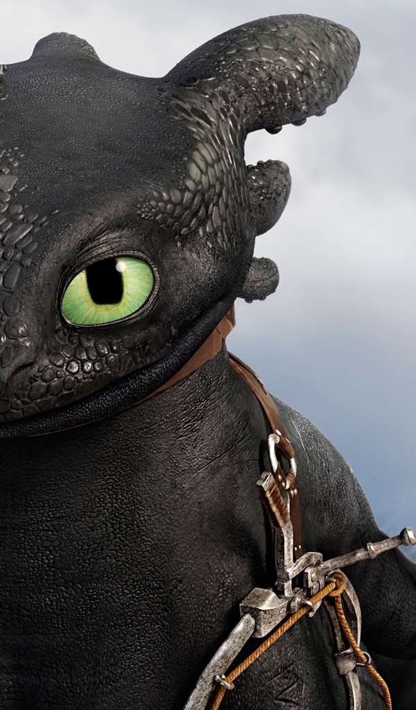 Беззубик персонаж мультфильма Как приручить дракона 3