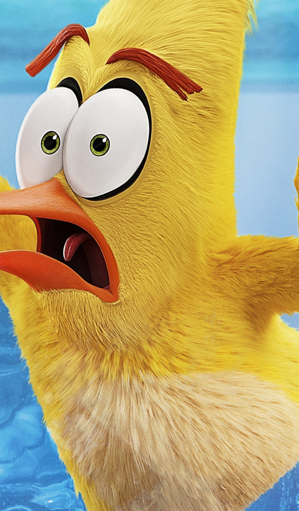 Yellow Bird In The Ice Cartoon The Angry Birds At Cinema 2