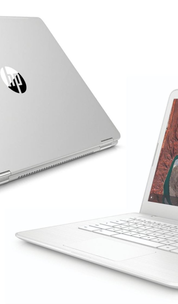 Портативные ноутбуки HP Chromebook x360 14 G1 на белом фоне