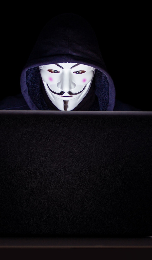 Хакер анонимус в маске и худи за ноутбуком