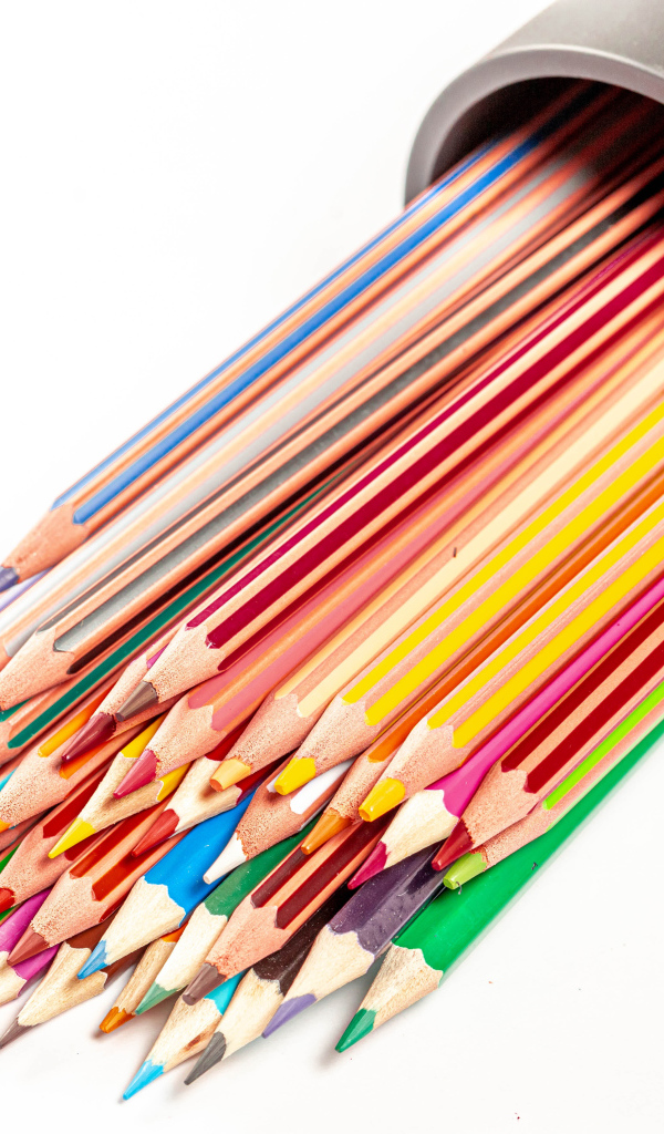Много разных карандашей в пенале на белом фоне