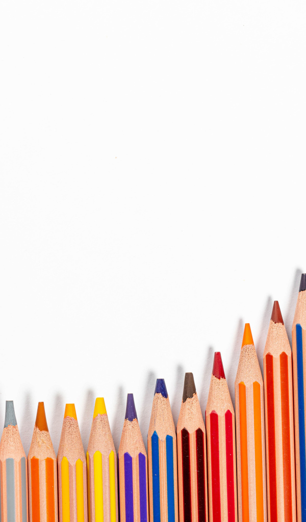 Много разноцветных карандашей на белом фоне