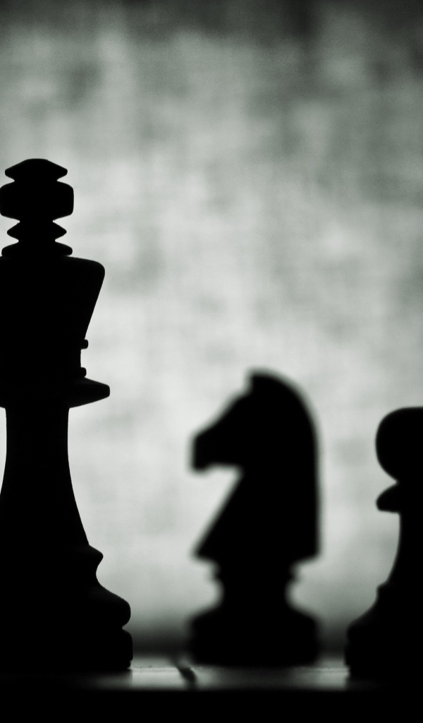 Силуэты шахмат на доске