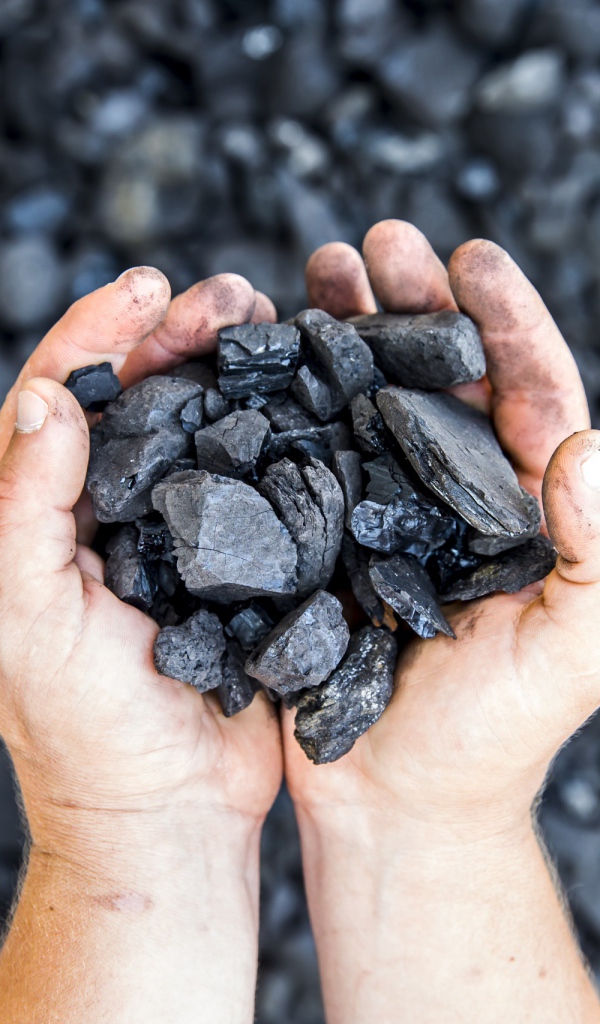 Куски угля в руках у мужчины 