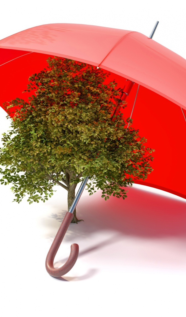 Зеленое дерево под красным зонтом на белом фоне