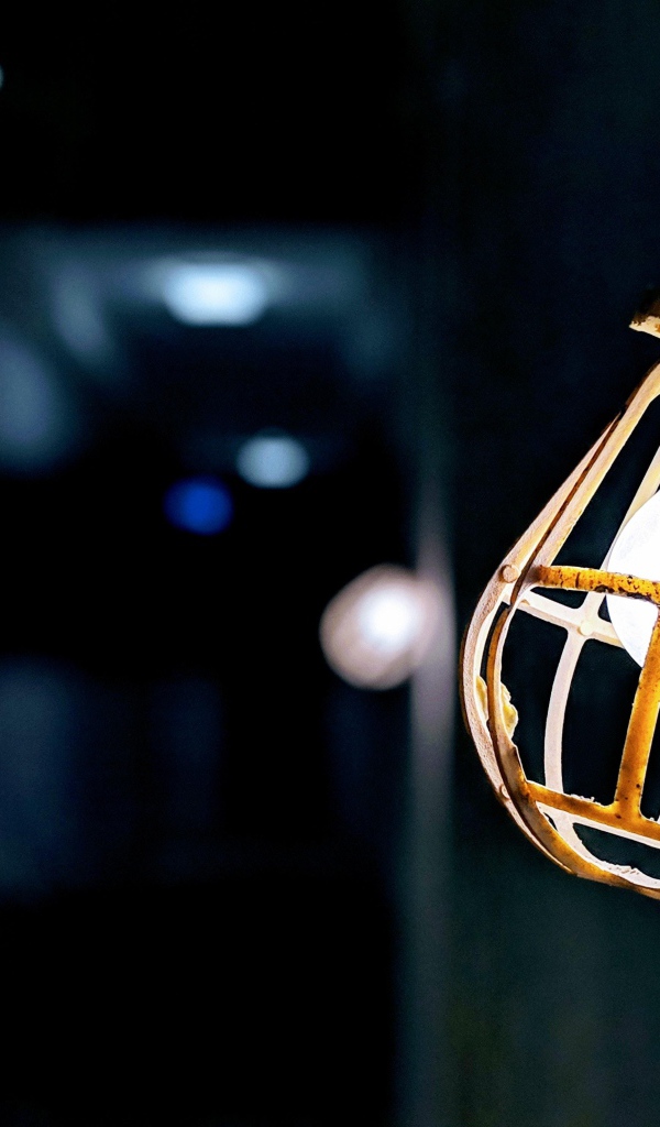 Включенная лампа в защитной решетке