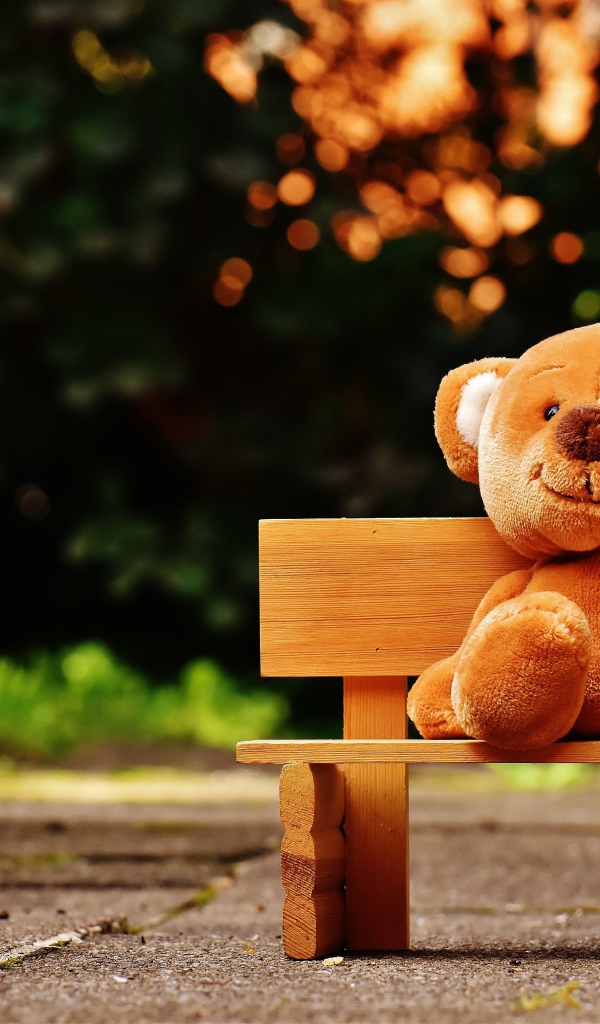 Медвежонок Тедди сидит на деревянной лавке