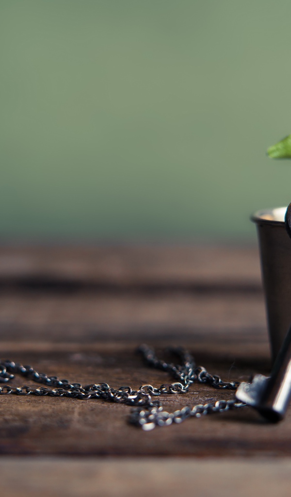 Ключ на цепочке одет на веточку в стакане