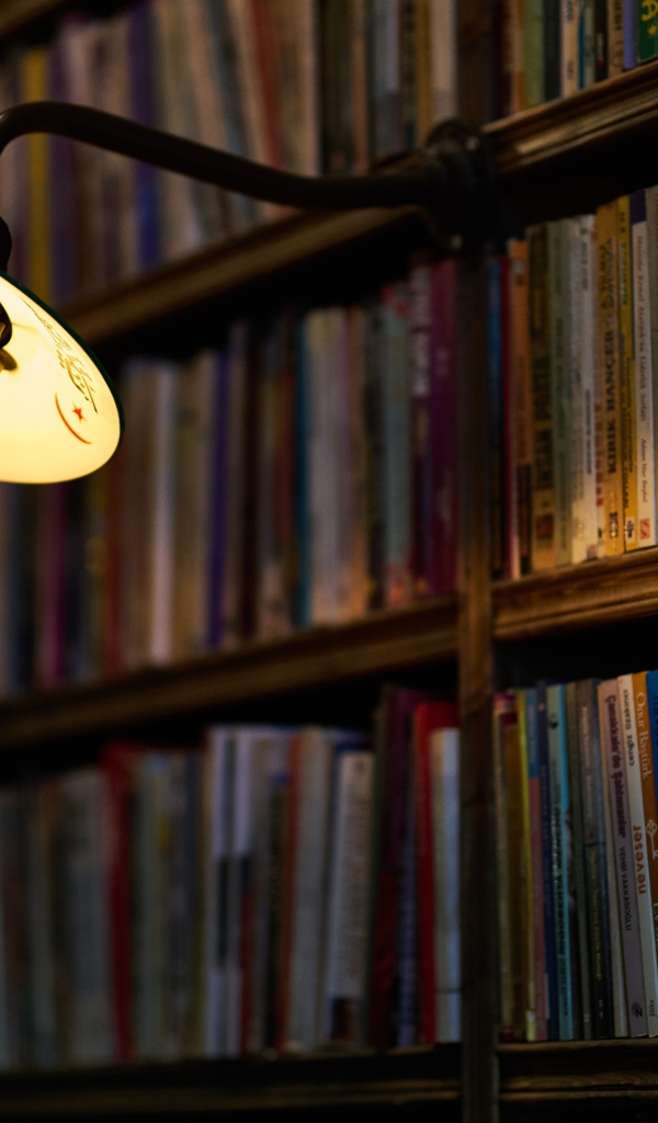 Фонарь с лампой в библиотеке