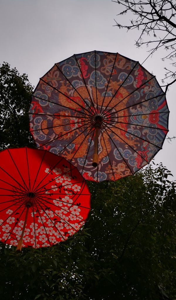 Два разноцветных японских зонтика на фоне неба